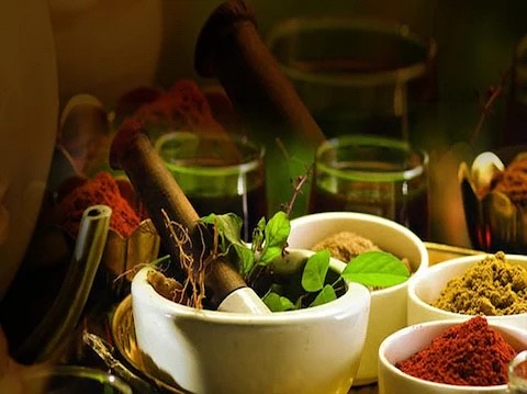25-Hour Introduction to Ayurveda